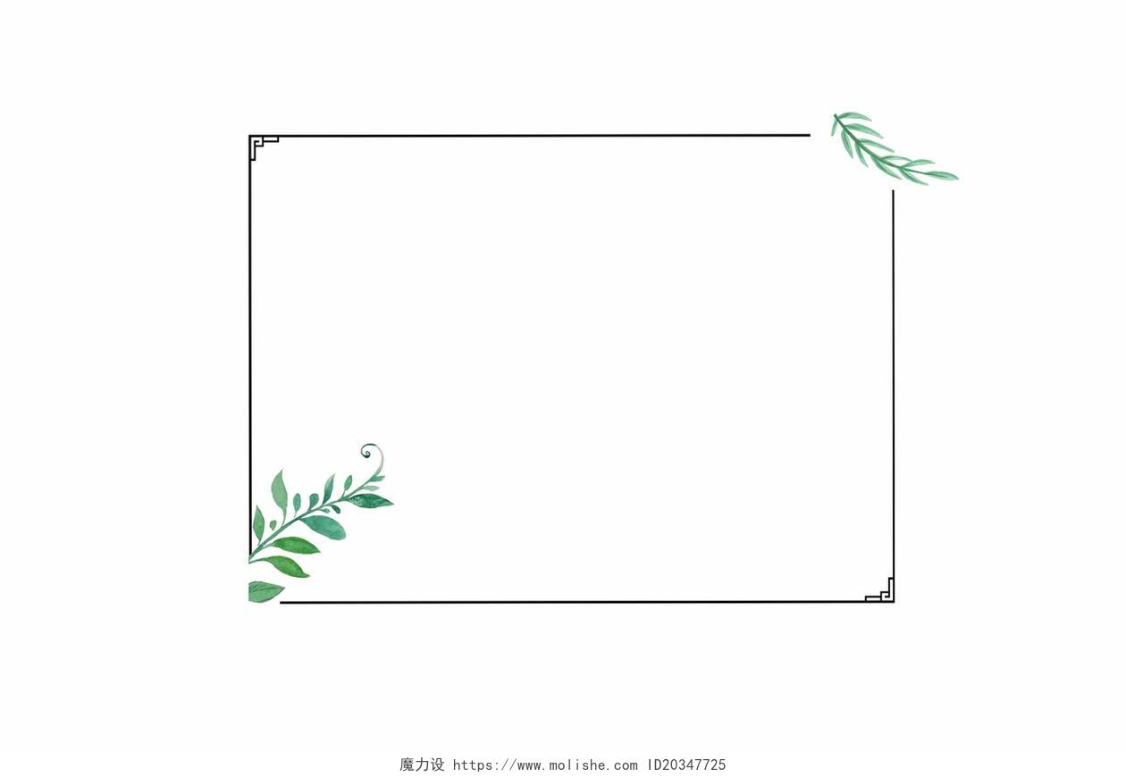 手绘边框小清新夏天热带雨林植物边框树叶边框素材